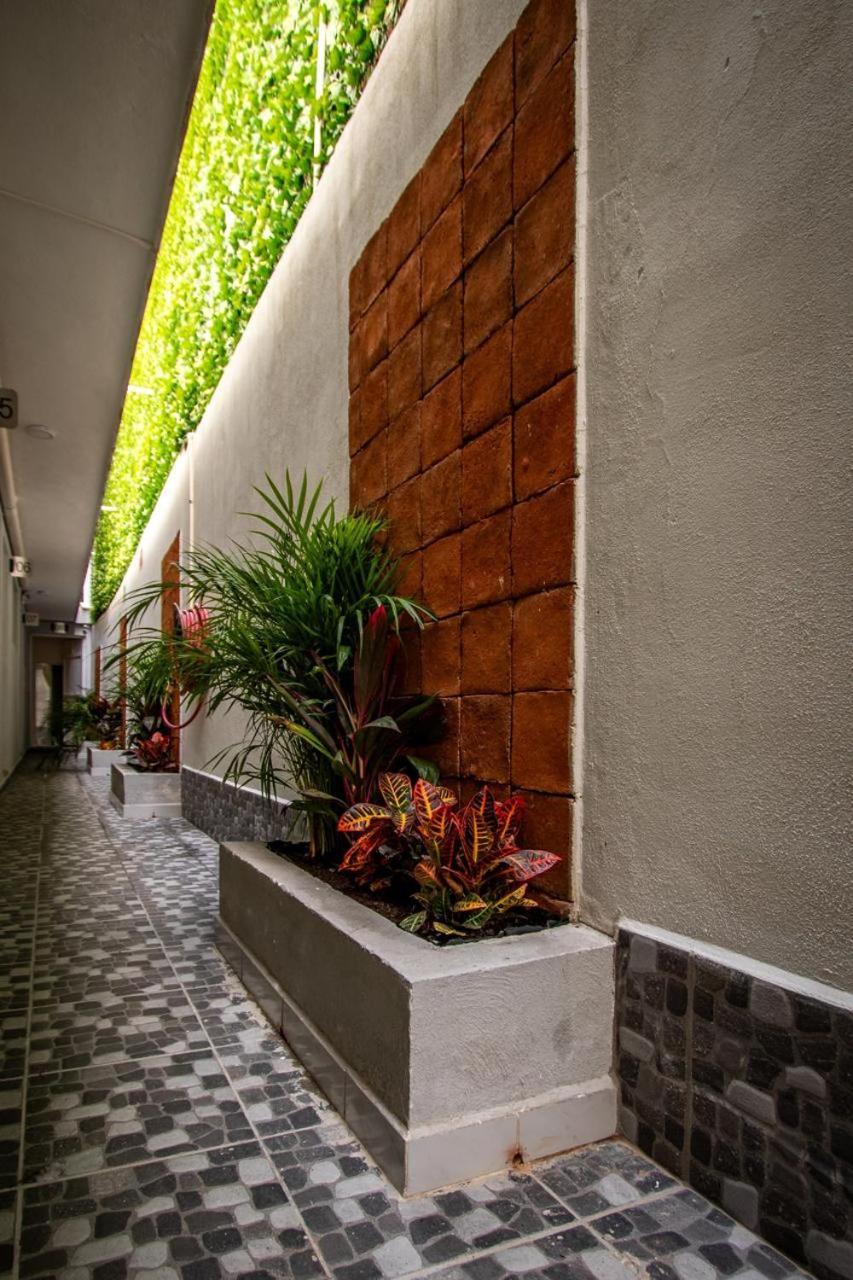 Hotel El Rincon San Francisco del Rincón Dış mekan fotoğraf